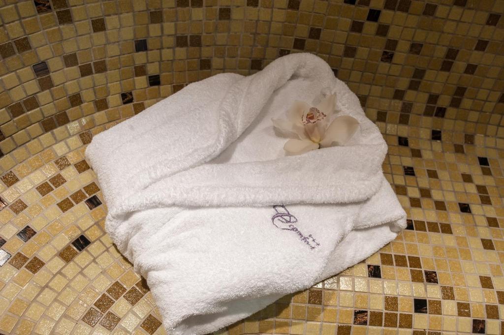 C Comfort & Wellness Hisarya
